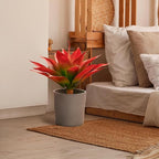 Velener Fall Fake Agave Artificial Plant, Red Fake Succulents Plant for Room Decor, Unpotted Faux Agave Stems Plant for Fall Outdoor/Indoor Decor, 22 inches, Set of 2