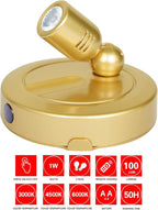 Picture Light Battery Operated, 3 Color Temperatures Picture Light with Remote, Indoor LED Spot Lights for Plants for Wall Frame Dartboard Art Painting Display Accent-Gold
