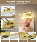 JUSHENG Battery Operated Picture Lights for Wall Brass 3CCT Dimmable Gallery Lights with Remote and Timer Wireless Painting Lights for Artwork, Display, Portraits 15.35'' Inch 3W