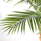 Artificial Phoenix Palm Tree 9ft Tall – Fake Large Tropical Tree with 21 Adjustable Leaves, Outdoor Indoor Faux Sago Palm Plant for Living Room Patio Poolside Yard Decor (1, 9ft)