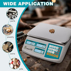 Industrial Counting Scale 30kg/66lb x 0.1g Digital Inventory Counting Scale High Precision Electronic Gram Scale with Battery DC/AC Power for Parts Jewelry Coins (g/kg/lb/oz)