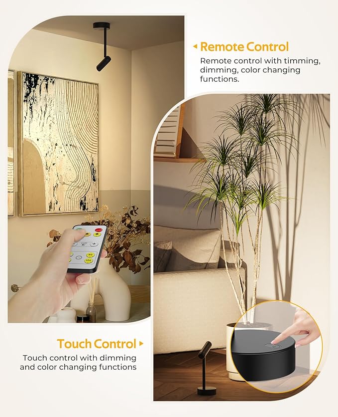 Picture Light for Wall, Battery Operated Art Light for Paintings CCT Dimmable Recharging Gallery Battery Wall Light with Remote Control for Living Room Gallery Dartboard Art Bathroom