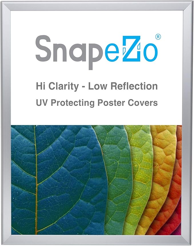 SnapeZo Poster Frame 22x28, Silver, 1.25 Inch Aluminum Profile, Front-Loading Snap Frame, Wall Mounting, Professional Series