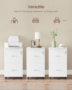 VASAGLE 2-Drawer File Cabinet, Locking Filing Cabinet for Home Office, Small Rolling Printer Stand, A4, Letter-Size Hanging Files, Assembly Required, White ULCD027T46V2