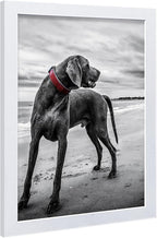 VCK 18x24 Poster Frame White with Polished Plexiglass Set of 5 Picture Frames Horizontal and Vertical Formats with Included Hanging Hardware