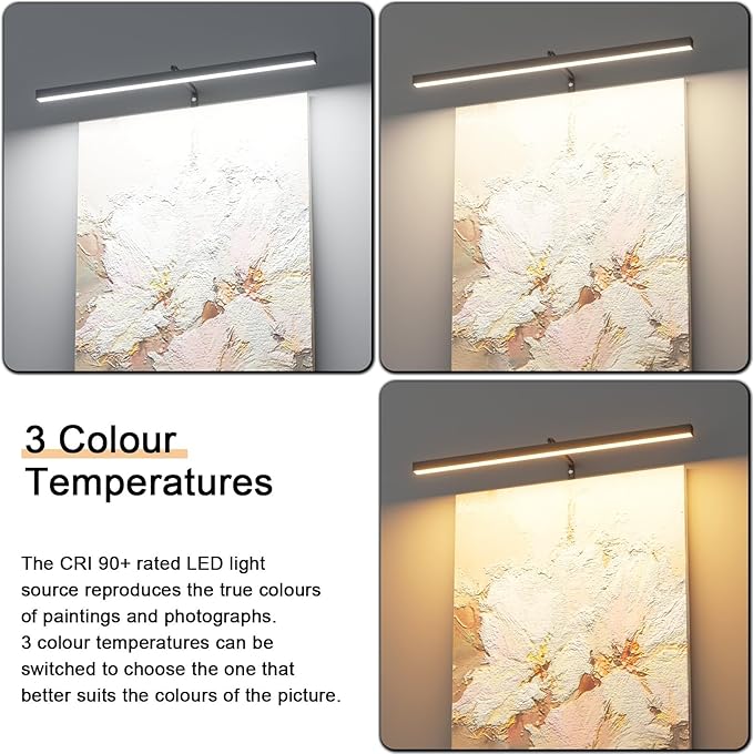 24" Plug in Picture Light for Paintings with Remote Control, 9W LED Art Display Lighting for Gallery, Dartboard, Artwork, Black Wall Mounted Picture Frame Light