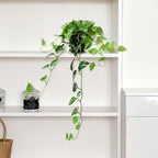 Fake Pothos Hanging Plants, 33" Artificial Hanging Plant, Faux Pothos Vines Hanging Plant Greenery for Home Living Room Indoor Outdoor Decor
