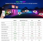 Remon LED Flood Light Outdoor 800W Equivalent 8000LM Smart RGB Landscape Lighting with APP Control, DIY Scenes - Timing - Warm White 2700K - Color Changing Uplight, IP66 Waterproof, 43 Modes (2 Pack)