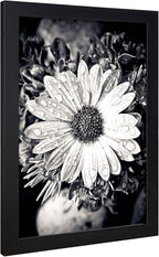 VCK Poster Frame 11x17 Black Set of 5,Solid Wood Picture Frame for Wall Mounting Hanging Art and Puzzles
