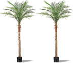 Artificial Phoenix Palm Tree 7ft Tall 2 Set – Fake Large Tropical Tree with 15 Adjustable Leaves, Outdoor Indoor Faux Sago Palm Plant for Living Room Patio Poolside Yard Decor (2, 7ft)