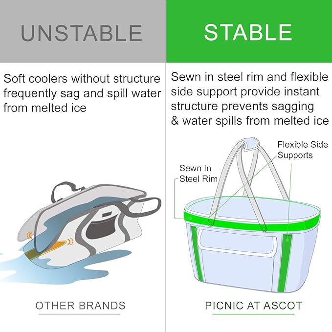 Picnic at Ascot Patented Insulated Folding Picnic Basket Cooler- Designed & Quality Approved in The USA