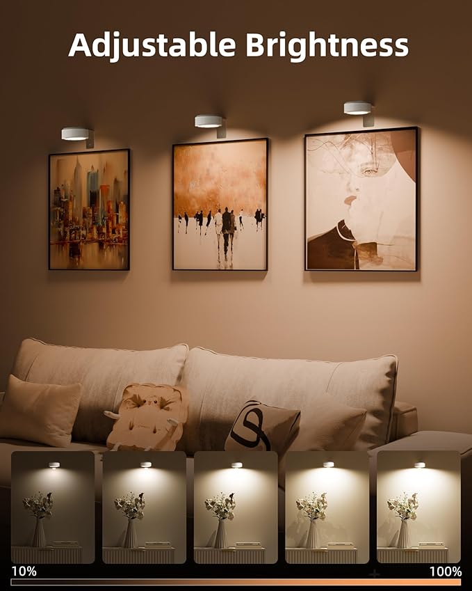 EZVALO Picture Lights for Wall, Rechargeable Battery Magnetic Poster Lights with 3 Color Temps & 12 RGB, Remote Dimmable Timer Light, Wall Decor Light for Art Display (6 Pack with Charging Station)