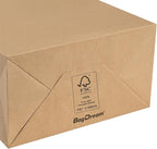 BagDream Paper Bags 13x7x17 50Pcs Large Gift Bags with Handles Bulk, Kraft Recycled Brown Paper Sacks for Shopping, Party Favors, Retail, Merchandise, Grocery