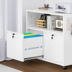 Metal File Cabinet,2 Drawer Lateral Filing Cabinet with Lock,Rolling Printer Stand Storage Cabinets with Shelves for Home Office Letter/Legal/A4 Size Files(White)