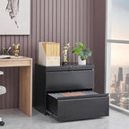 2 Drawer File Cabinet, File Cabinets for Home Office, Printer Stand, File Cabinet with Lock, Lateral Filing Cabinet for A4/Letter/Legal Size File Folders, Assembly Required(Black)