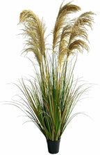 Alonfala - 57" (1-Pack) Pampas Grass Potted Plants - Artificial Faux Plants Featuring Tall Grass, Housewarming, and New Home Celebration. Elevate with Fake Plants, Ideal for Floor Decor.
