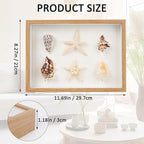 liomey Shell Ornament Christmas Decor 11.69" x 8.27" Coastal Wall Art Wooden Frame with Natural Conch Shells, Nautical Beach Home Decor, Ocean Themed Display for Living Room, Bedroom, Office(Two Large Starfish)