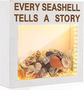 Juexica Seashell Holder with Light Display Box Room Decor Ocean Themed Gifts for Christmas Display Case Sea Shells Beach Coastal Decor Acrylic Wall Hanging(White,Seashell)