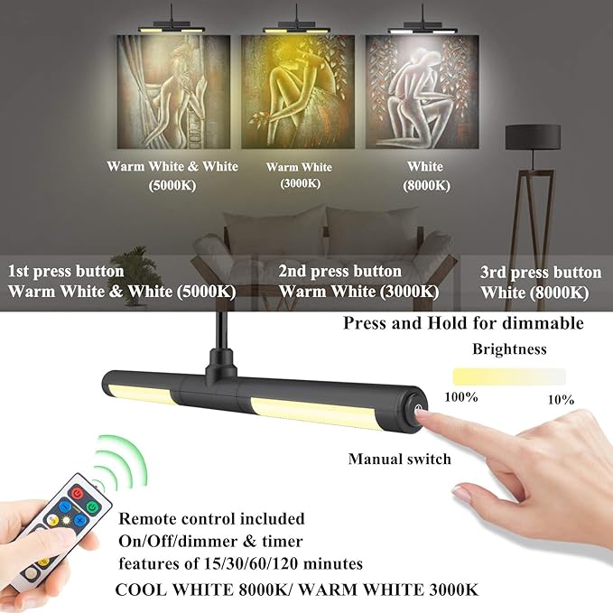 BIGMONAT Rechargeable Picture Light for Paintings with Remote, Battery Operated Dartboard Light, Wireless Art Light, Dimmable Display Lamp for Wall Photo Artwork Gallery Portrait