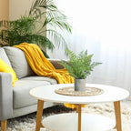 2 Pack Small Fake Plants Potted Artificial Plants Indoor for Home Decor Office Room Farmhouse Indoor Table Bathroom Decor