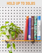 INCLY 60 Pack 2/4/6 Inch Black Pegboard Hooks, 1/4" Heavy Duty Peg Board Shelving Hooks Accessories, Peg Board Tool Hangers Fit for 1/4" Pegboard Hanging Tools Garage, Craft Organizing, Kitchen, Store