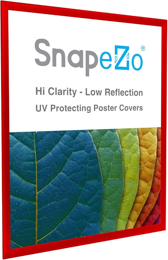 SnapeZo Poster Frame 24x30, Red, 1.25 Inch Aluminum Profile, Front-Loading Snap Frame, Wall Mounting, Professional Series