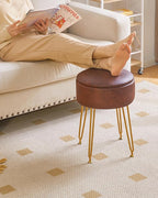 IBUYKE Faux Leather Round Footrest Stool with Storage Ottoman, Makeup Vanity Chair Side Table, PU Dressing Table Seat, Removable Cover, Golden Steel Legs, Dark Brown WBD024Z