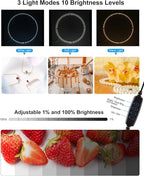 PULUZ Light Box Photography, 20x20 inch Large Photo Light Box with 200 LED Beads, CRI >95, Professional Portable Photo Booth Shooting Tent Kit with 12 Color Backdrops for Product Photography