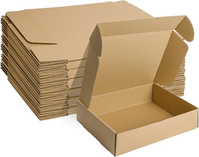 MEBRUDY 12x9x3 Inches Shipping Boxes Pack of 20, Small Corrugated Cardboard Box for Mailing Packing Literature Mailer