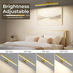 Picture Lights for Wall, 2PCS 24in Battery Operated Picture Light for Paintings CCT Dimmable Recharging Battery Wall Lamp with Remote Control for Living Room Gallery Dartboard Gold Color