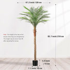 Artificial Phoenix Palm Tree 7ft Tall 2 Set – Fake Large Tropical Tree with 15 Adjustable Leaves, Outdoor Indoor Faux Sago Palm Plant for Living Room Patio Poolside Yard Decor (2, 7ft)