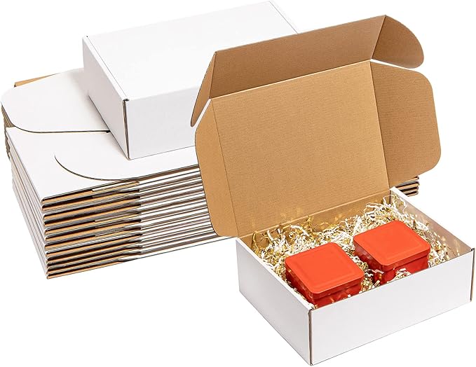 Shipping Boxes 12x9x4 Inches 20 Pack Corrugated Cardboard Mailing Boxes for Small Business - Medium White Literature Mailer Packaging Supplies