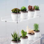 3-Tier Clear Hanging Window Plant Shelves 16In, Height Adjustable Acrylic , Indoor Windows Wall Hanging Plant Stand Flower Display, Flower Pot Organizer Storage for Grow Herbs, Microgreens, Succulents