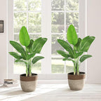 2 Pack Birds of Paradise Plant Artificial, 4FT Fake Plants Faux Banana Leaf Tree with 9 Banana Leaves, Lifelike Tall Fake Tropical Indoor Silk Floor Plant in Black Pot for House,Office,Room,Home Decor