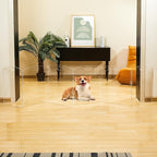 Modern Frame Clear Acrylic Freestanding Pet Gate - 24" High Extra-Wide Folding 6-Panel Dog Barrier for Doorways, Stairs & Large Openings, Indoor Fence for Dogs, Puppies & Cats