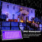 4 Pack 50W Black Lights, Blacklight Flood Light with Plug and Switch,for Glow Party, Halloween, Fluorescent Poster, Body Paint