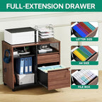 Letaya Mobile 2 Drawer File Cabinet with Lock, Metal Lateral Printer Stand Filing Storage Cabinets with Shelves for Home Office-A4/F4/Letter