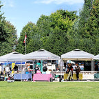 10x10 Pop Up Canopy Tent,10X10FT (White, 10x10FT)