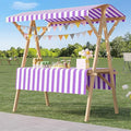 Outdoor Vendor Cart, Portable Cart with Canopy, Movable Stall Display Stand, Foldable Vending Stand Kiosk Display Trolley with Canopy, for Market, Street Food, Events(Purple,150cm/59in)