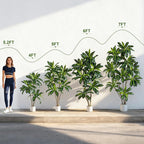 Artificial Dracaena Plant 6FT - Realistic Fake Dracaena Tree Tall Large Faux Silk Plants Fake Floor Potted Artificial Plants for Home Decor, Office Plants