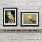 VCK 18x24 Poster Frame in Black with Polished Plexiglass Set of 5 Horizontal and Vertical Formats with Included Hanging Hardware