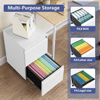 Rolling File Cabinet with Lock, 2 Drawer Metal Mobile Office Filing Cabinet Under Desk for Legal/Letter Size(Assembly Required)