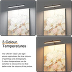 4W Plug in Picture Light for Paintings with Remote Control, 12" LED Art Display Lighting for Gallery, Dartboard, Artwork, Black Wall Mounted Picture Frame Light