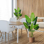 Artificial Bird of Paradise Plant 5.2Ft Fake Tropical Palm Tree with 10Trunks Faux Banana Leaf Trees in Pot for Home Indoor Outdoor Office Modern Decor Housewarming Gift（2Pcs）
