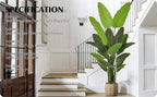 Artificial Bird of Paradise Tree 7FT 22 Leaves Tall Large Fake Faux Tropical Banana Plant 84 Inch Black Pot for Indoor Home Office Poolside Porch Mall Hotel School Decor Housewarming Gift