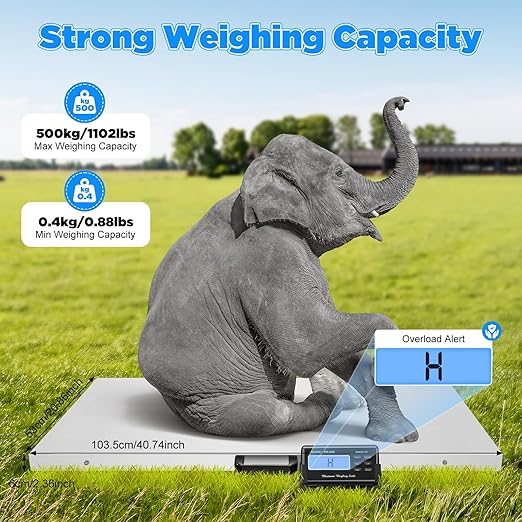 Dog Scale,1100Lbs Digital Livestock Scale,Large Pet Vet Scale,Stainless Steel Platform Electronic Postal Shipping Scale for Heavy Duty Large Hog Sheep Goat Pig Sheep 500 KG