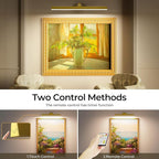 Picture Lights for Wall, 2PCS 24in Battery Operated Picture Light for Paintings CCT Dimmable Recharging Battery Wall Lamp with Remote Control for Living Room Gallery Dartboard Gold Color