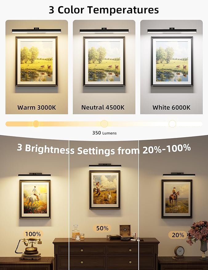 VOLISUN 16 inch Picture Lights for Wall, Rechargable Picture Light Battery Operated, 3 Color Temperatures Cordless Picture Light with Remote, Art Light for Paintings, Gallery, Portrait, 2 Pack (Black)