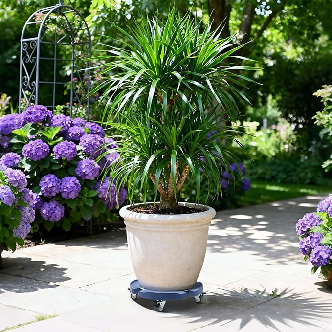 Plant Rollers with Wheels, 15-19 Inch Adjustable Bucket Dolly with Locking Wheels 440 LBS Heavy Duty Drum Cart Plant Caddy with Wheels Plant Mover Base, Blue