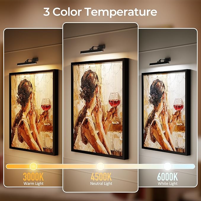 Picture Lights for Wall, Battery Operated Gallery Light 16in for Paintings CCT Dimmable Recharging Battery Wall Lamp with Remote Control for Living Room Dartboard Art Bathroom 2PCS